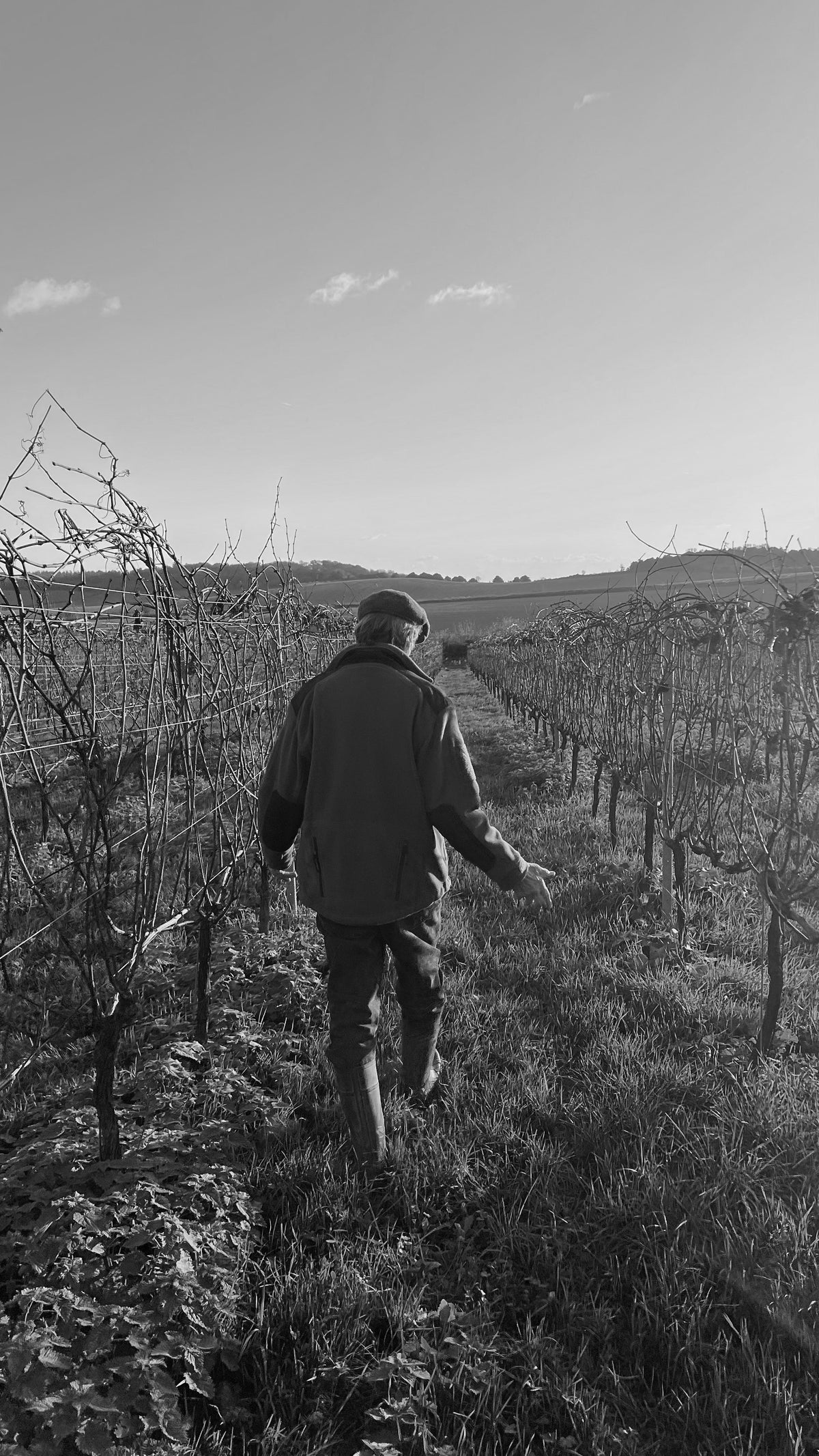 'Common Sense' on biodynamics, and why the most misunderstood farming philosophy in wine is also the most logical