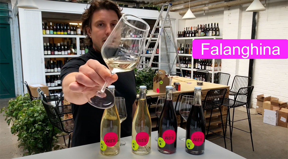 HOUSE WINE / MAY 21