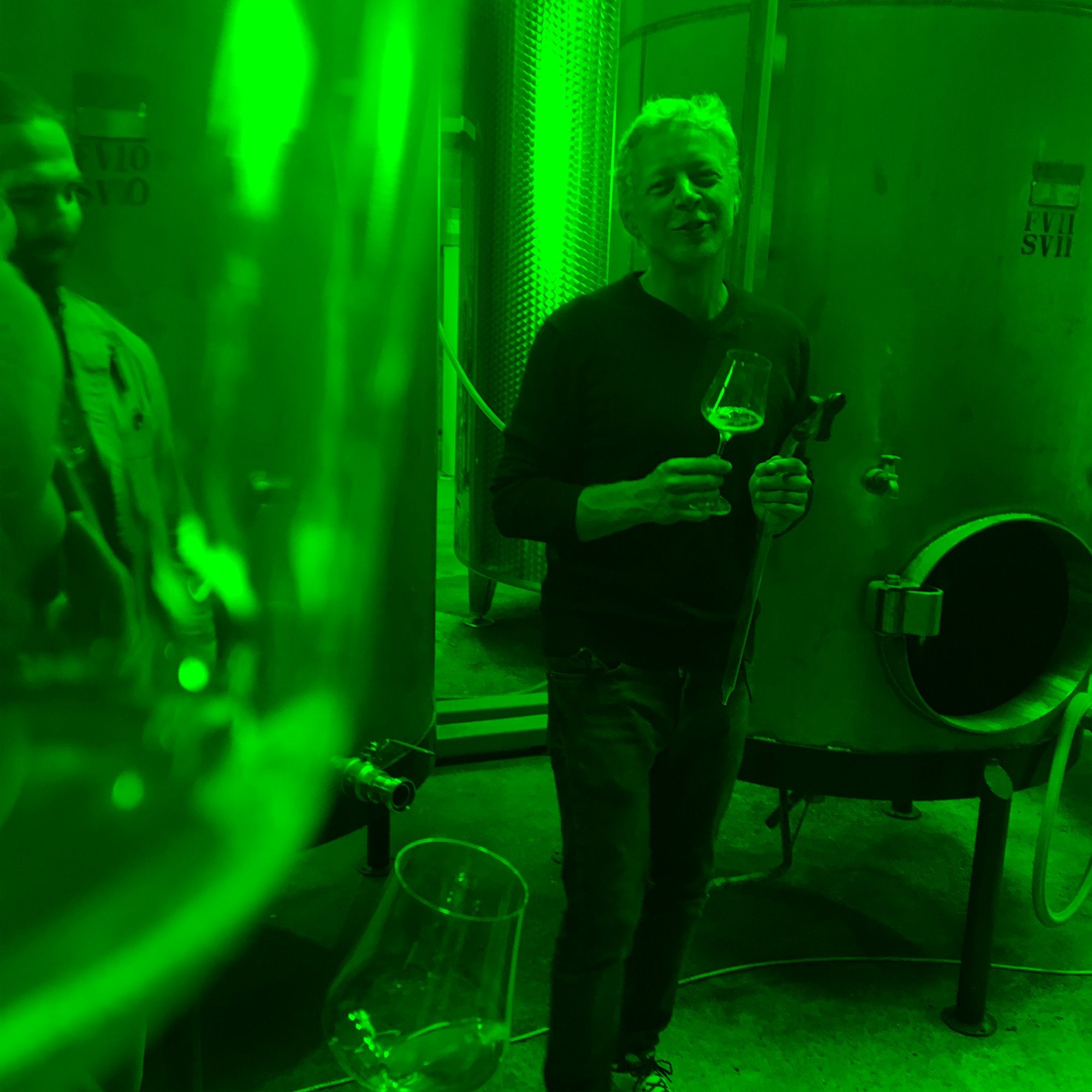 Tillingham – Wine Freedom