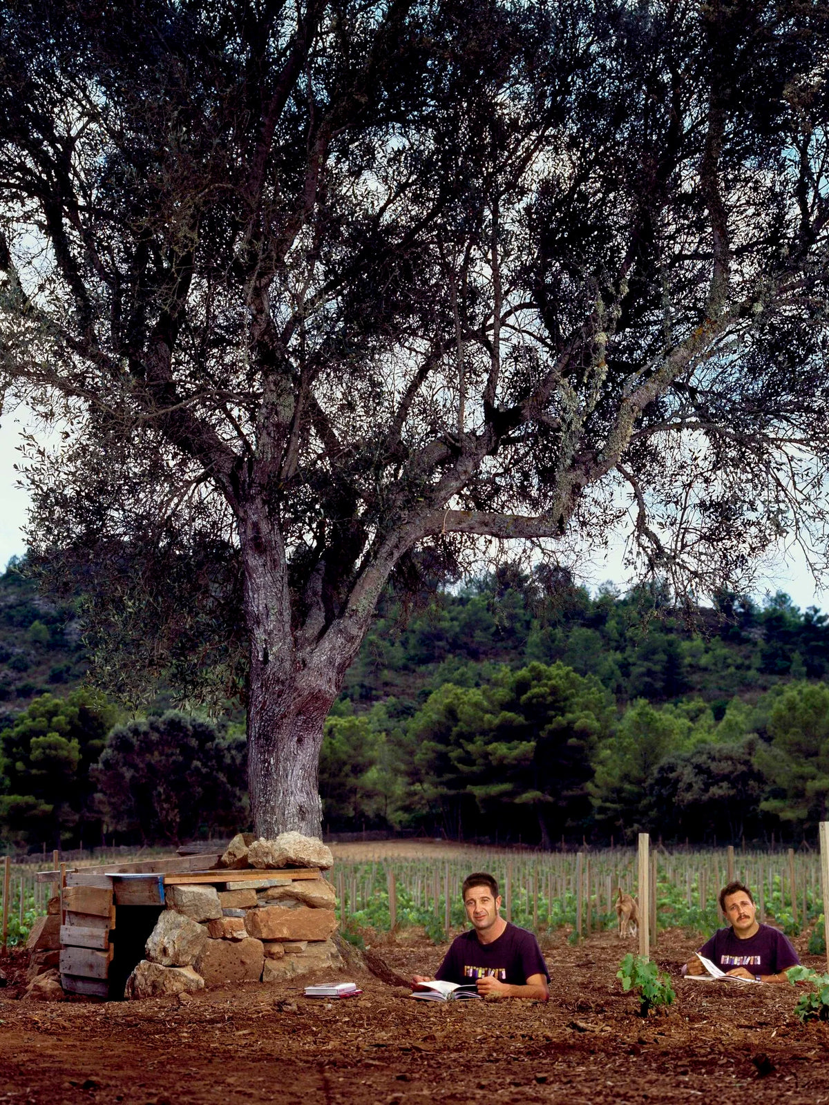 Francesc Grimalt and Sergio Caballero in the 4 Kilos vineyard
