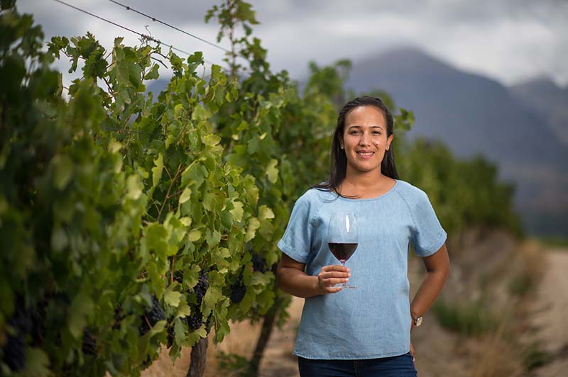 Supernature Pinot Gris 2022