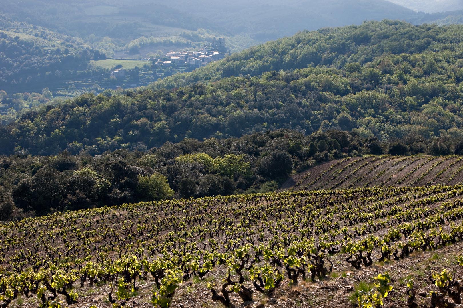 Le Soula Rouge 2015