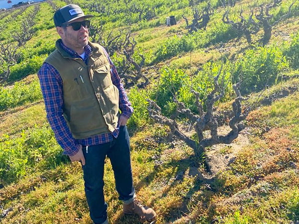Evangelho Zinfandel 2018