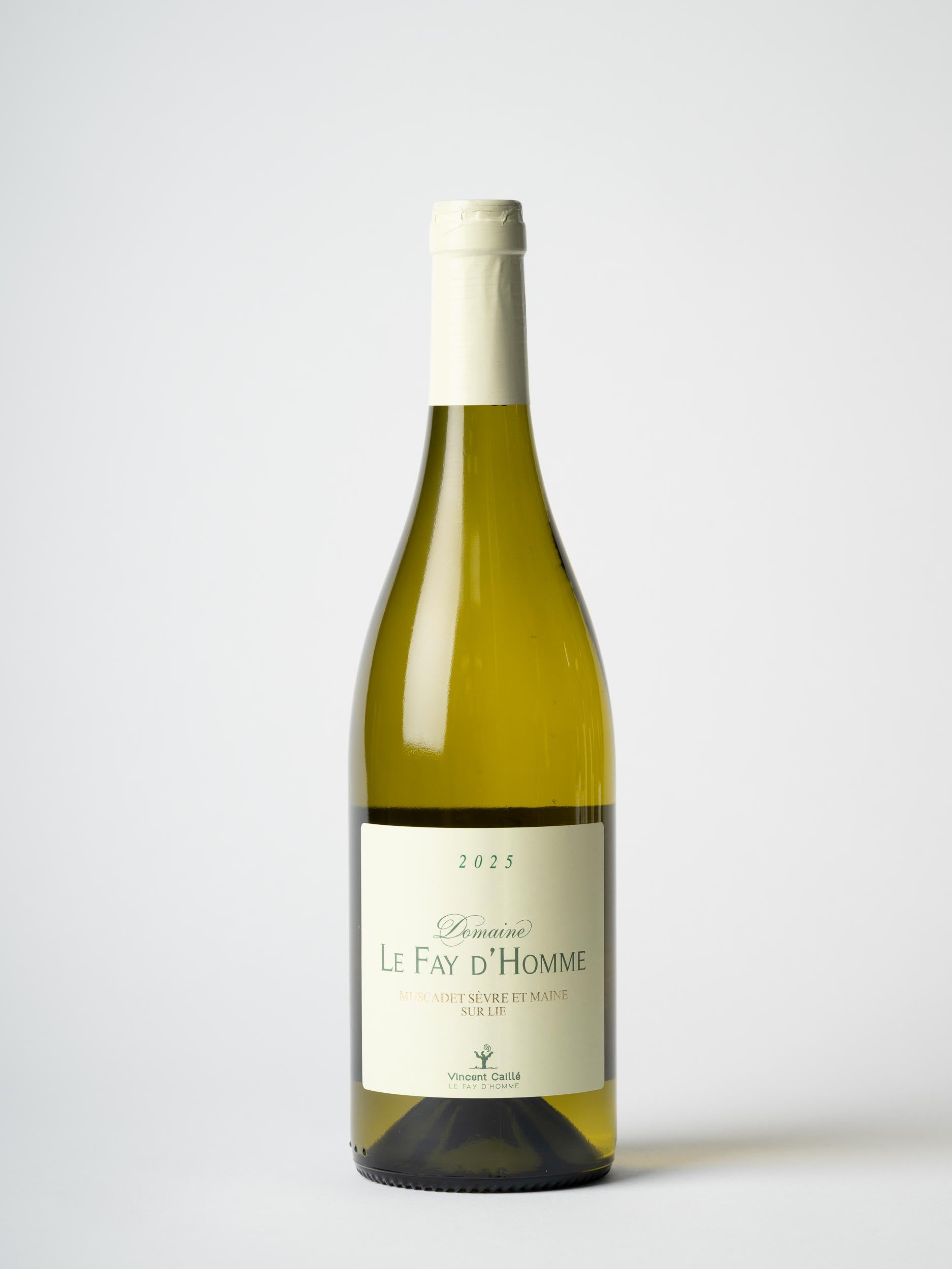 Muscadet Monnières-St Fiacre