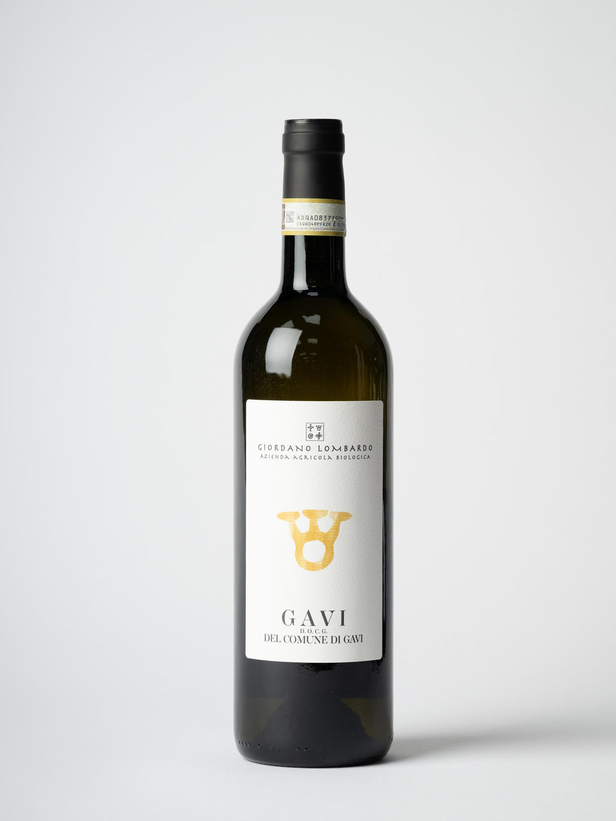 Giordano Lombardo Gavi del Comune di Gavi