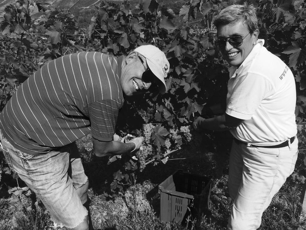 Moscato d'Asti 2022