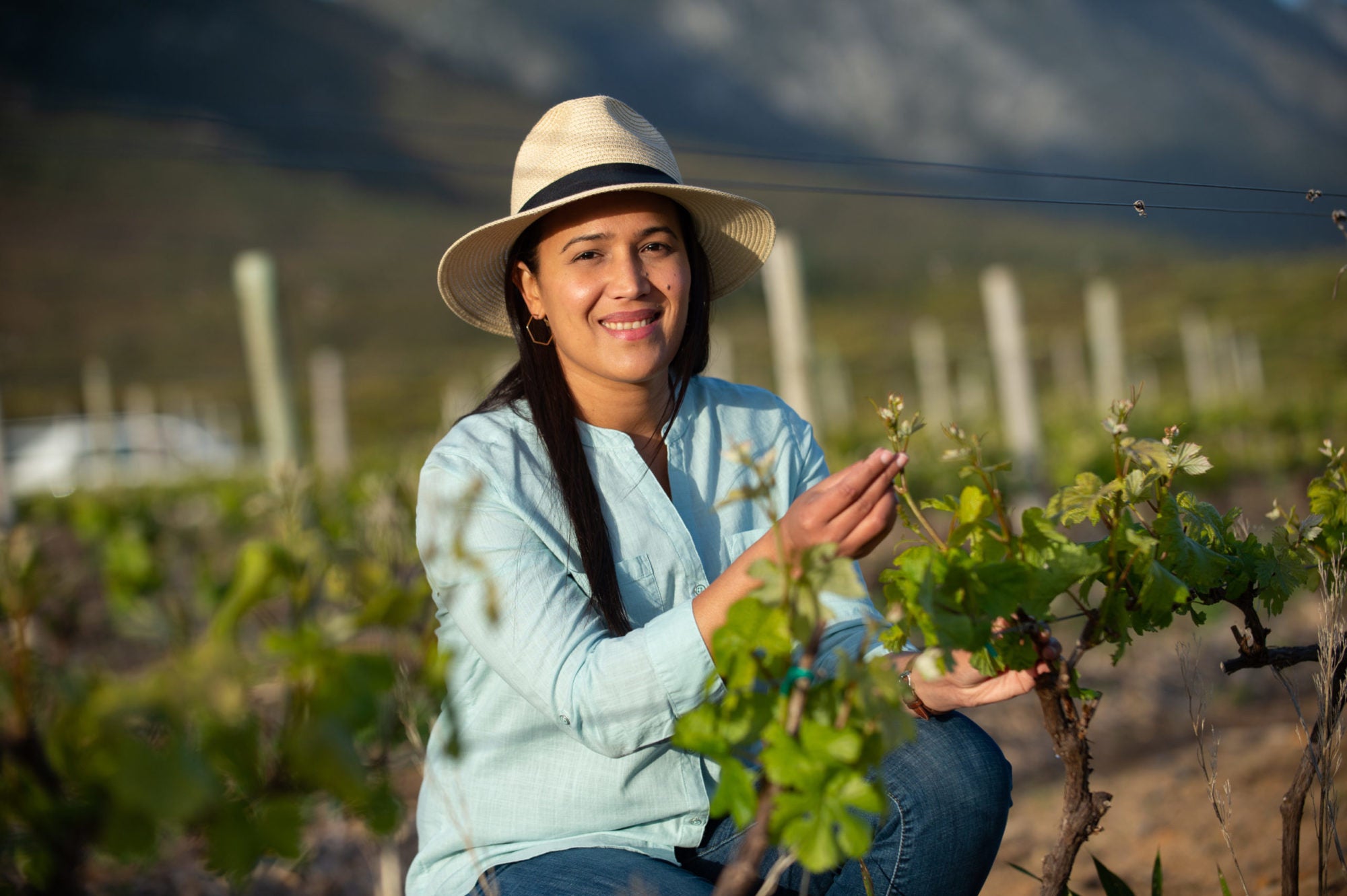 Supernature Pinot Gris 2022
