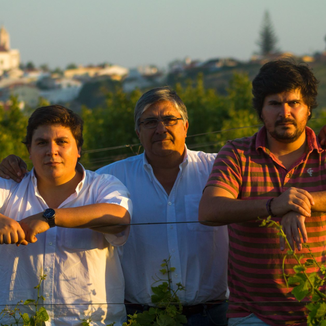 Arinto Branco 2018 - Vale da Capucha - Lisbao, Portugal 75cl