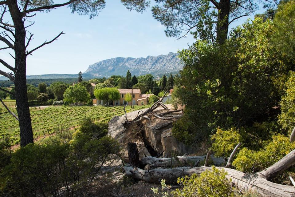 Vol de Nuits Rose 2024