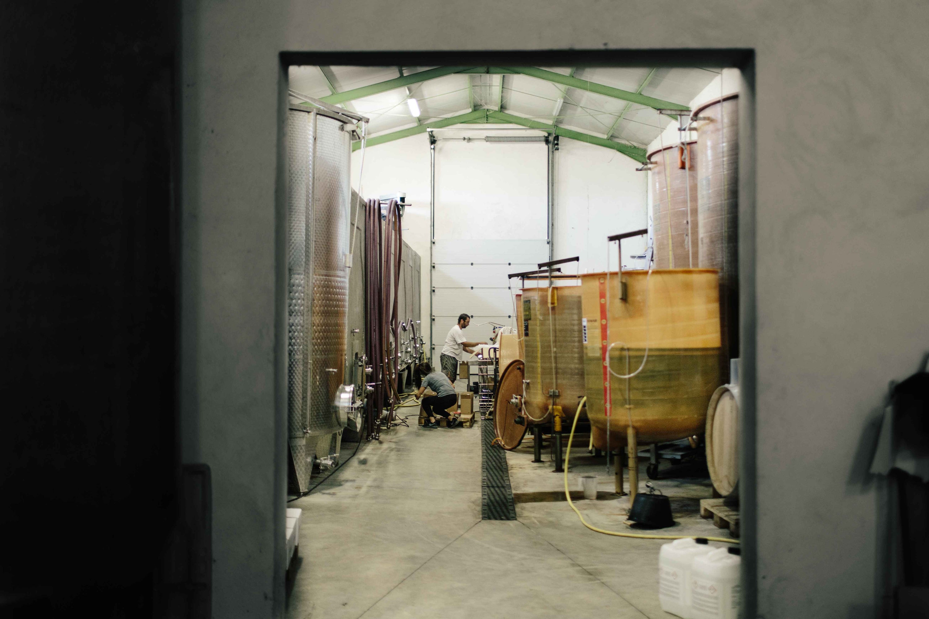 Côtes du Rhone 2023