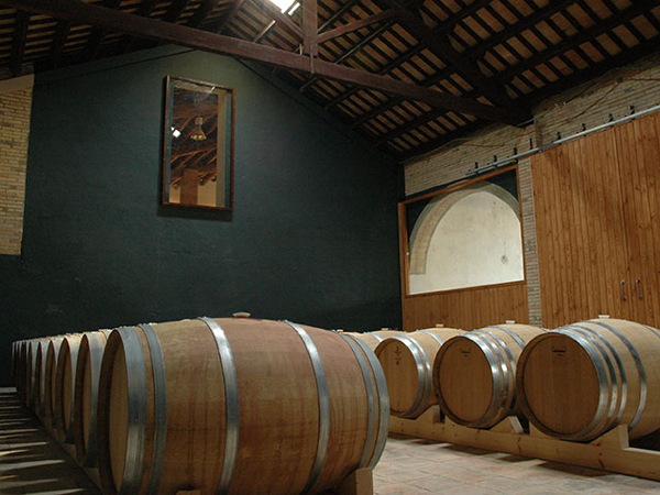 Negre Franc 2017