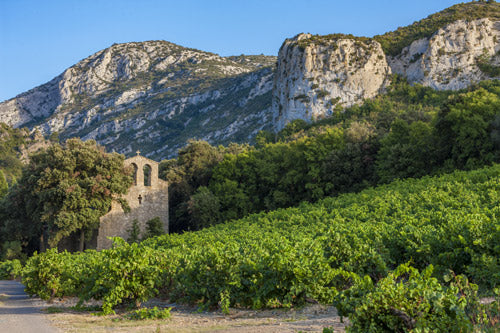 Mar y Muntanya Rouge 2018 -  Domaine de l'Horizon - Languedoc, France