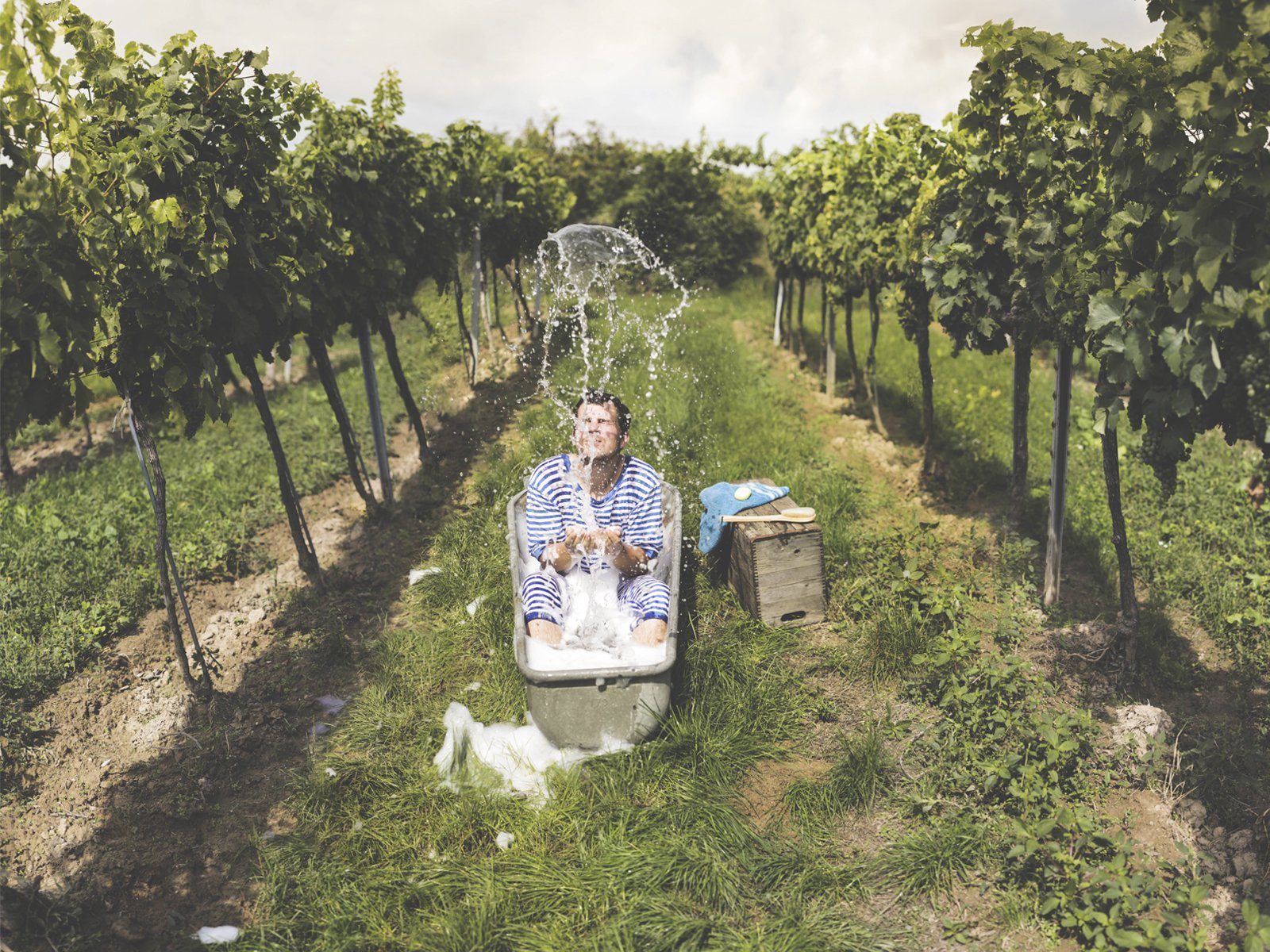 Wagram Gruner Veltliner 2021