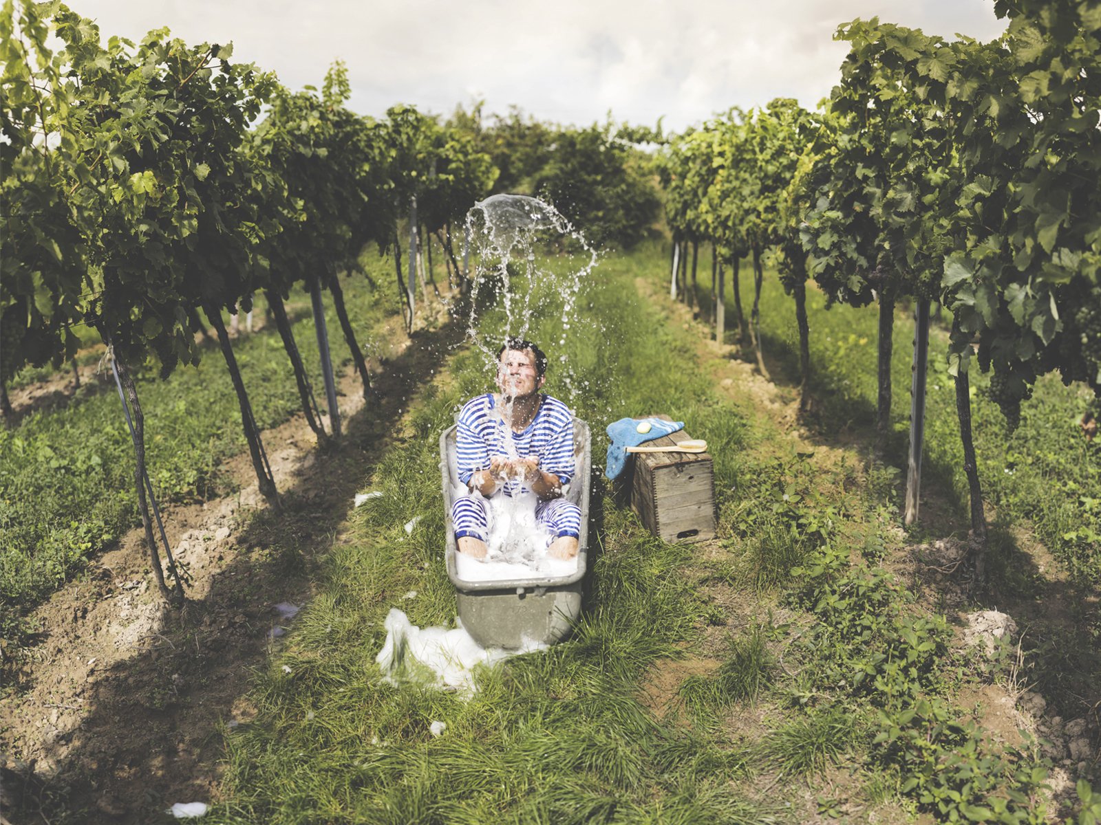 Zweigelt 2019