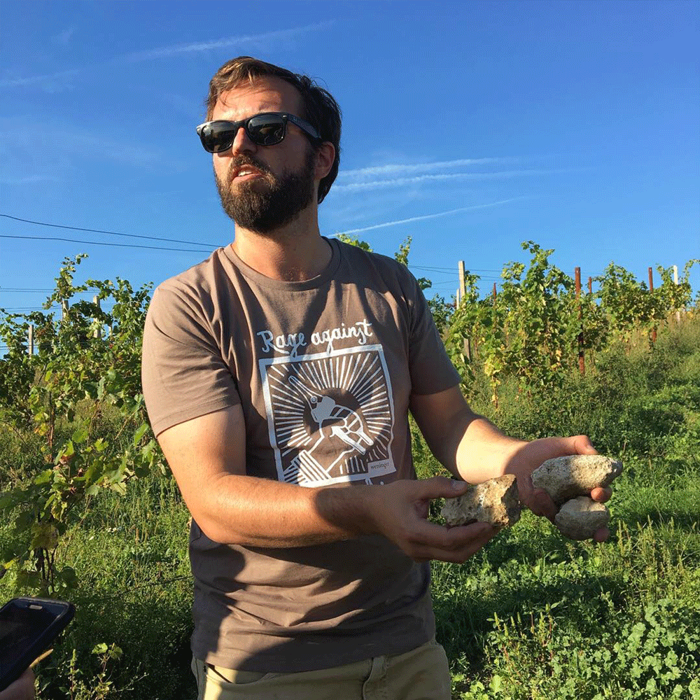 Vom Kalk 2018 - Weninger - Burgenland, Austria 75cl