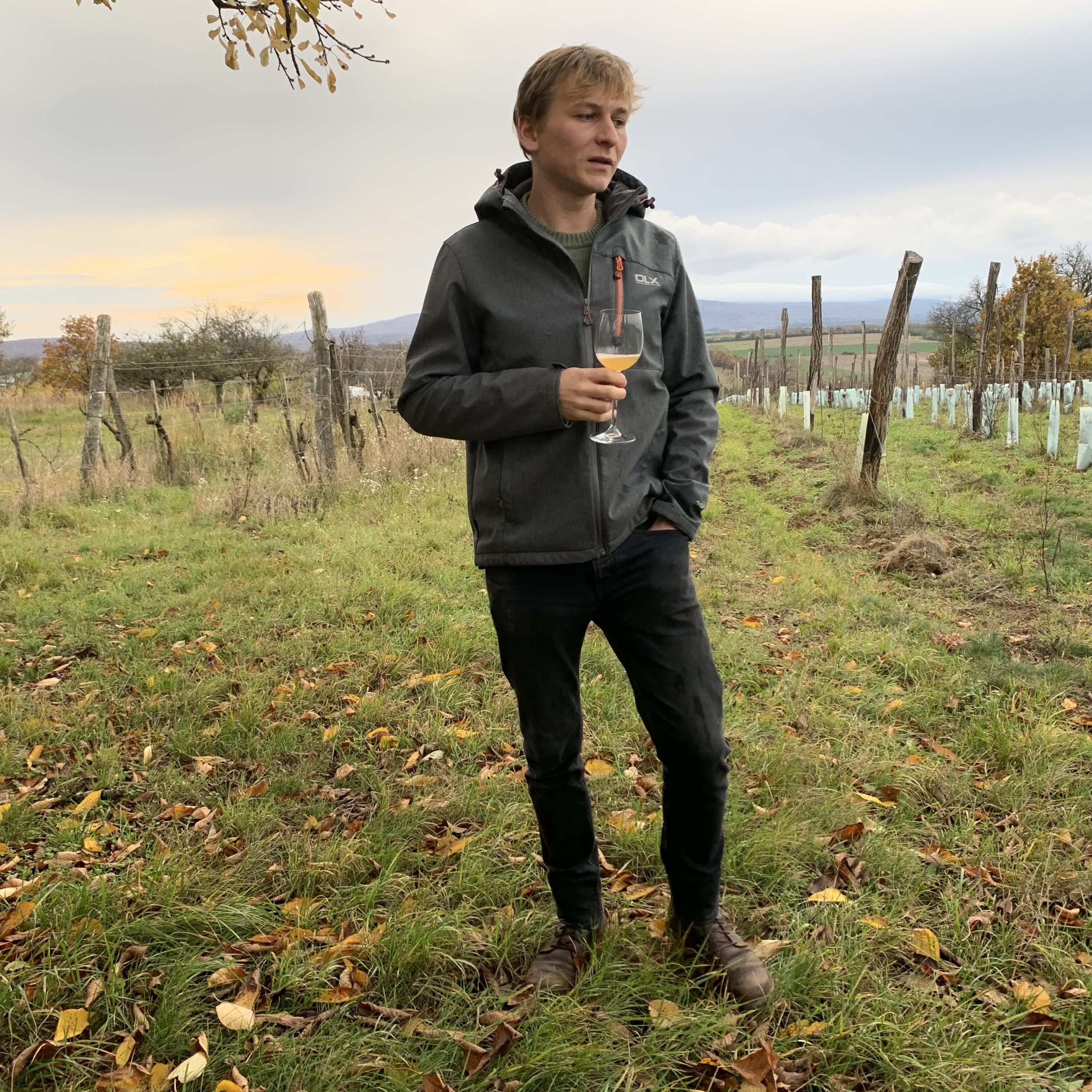 Fogosch 2019 - Joiseph - Burgenland, Austria 75cl
