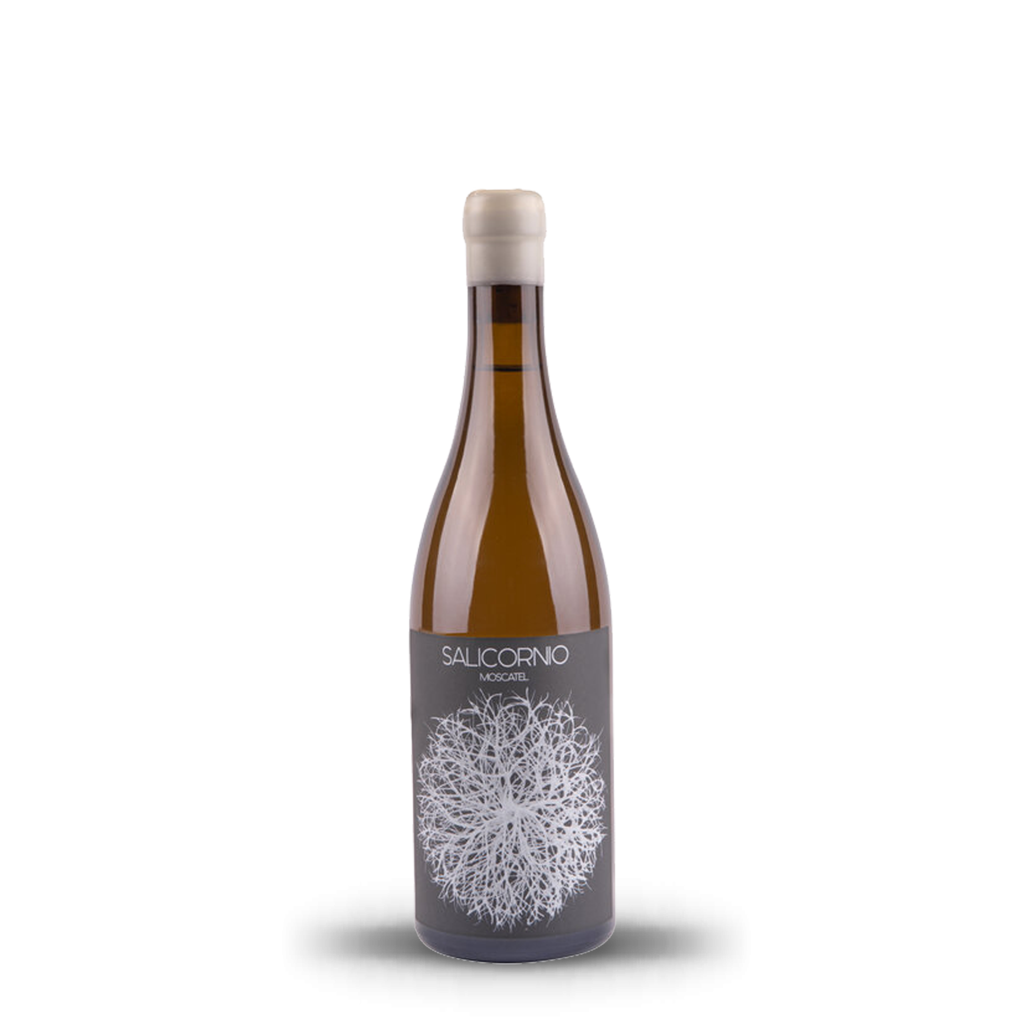 Salicornio Moscatel 2021 - Casa Balaguer - Alicante, Spain