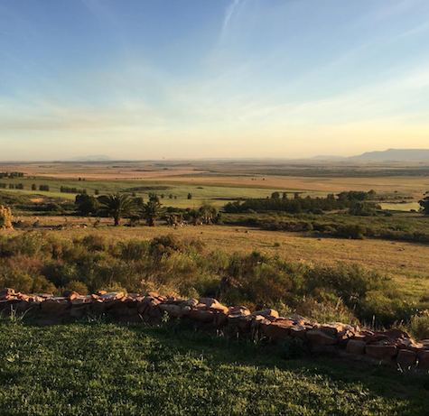 Mangaliza Harslevelu 2019 - Testalonga - Swartland, South Africa 75cl