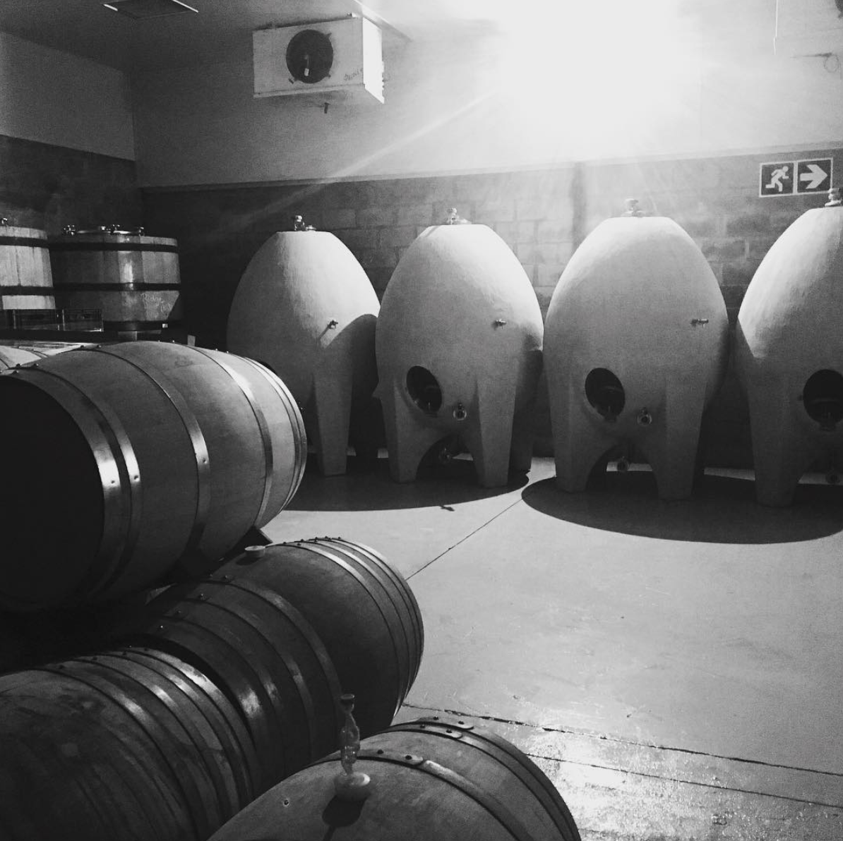 Force Celeste Chenin Blanc 2020 - Mother Rock Wines - Swartland, South Africa 75cl