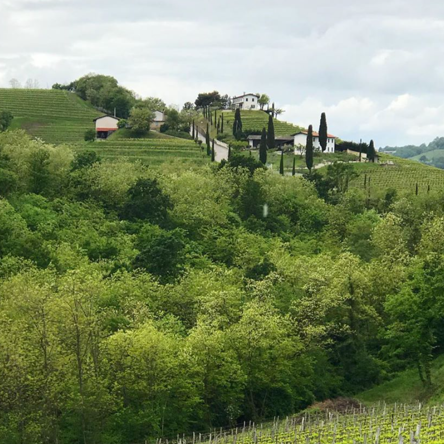 Bohem 2017 - Atelier Kramar - Brda, Slovenia 75cl