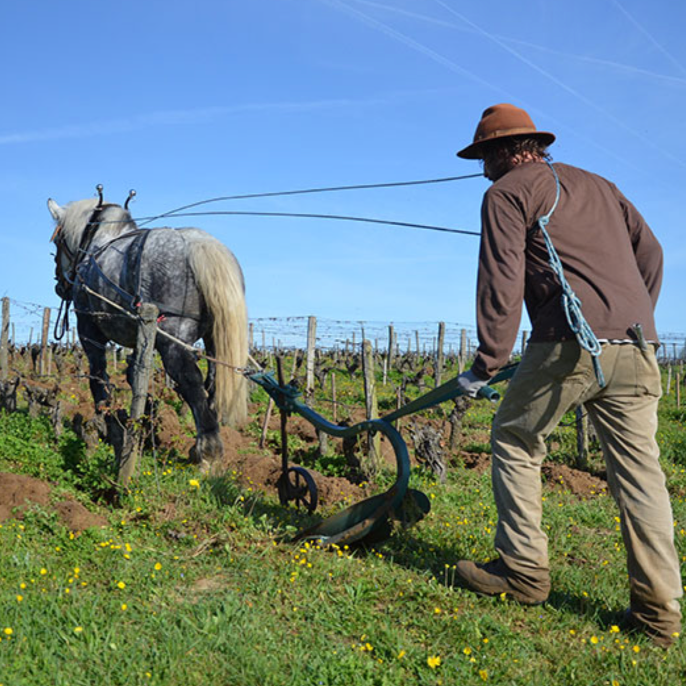Pineau D’Aunis ‘Irredutible’ 2019 - Clos Roussely - Loire, France 75cl