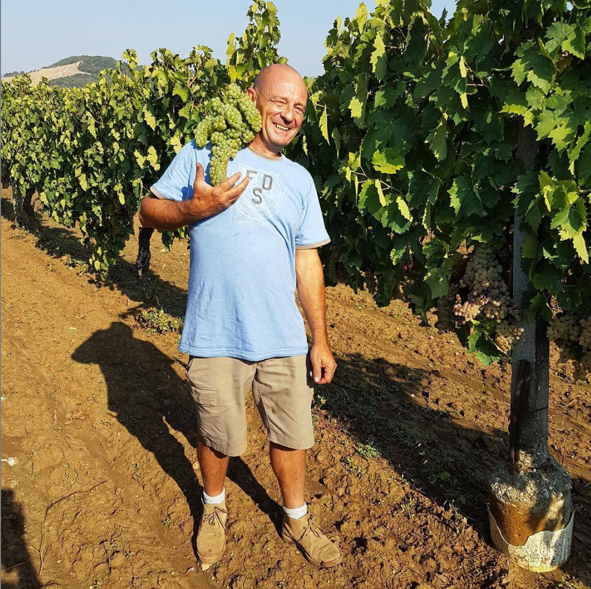 Tutti I Giorni Bianco 2020 - Antonio Camillo - Tuscany, Italy 1 Ltr