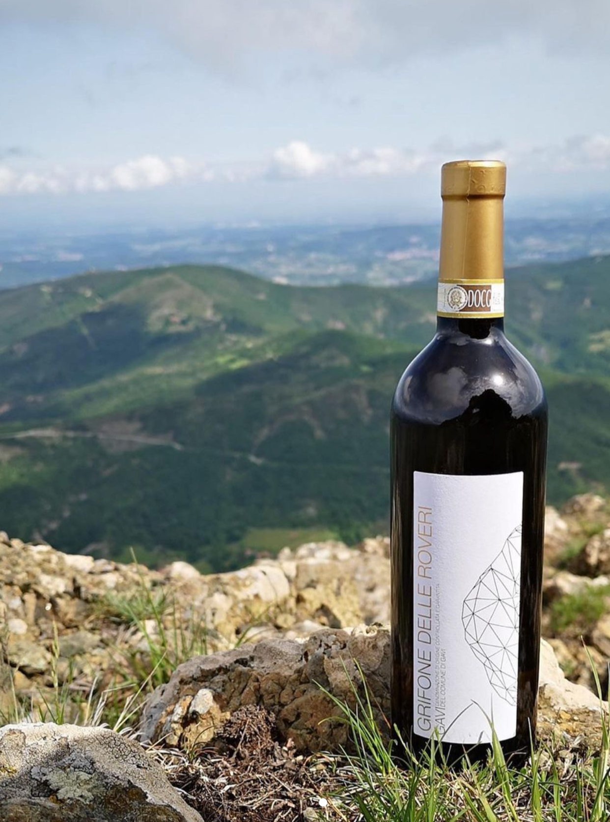 Gavi di Tassarolo “La Fornace” 2020 - Cinzia Bergaglio