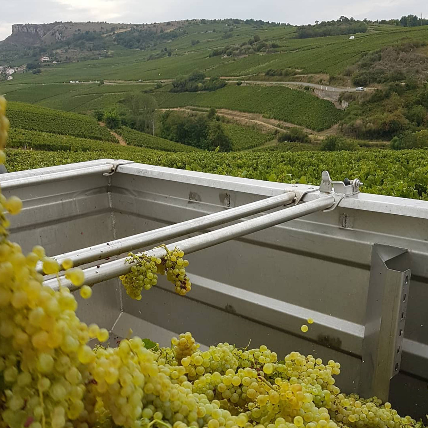 Pouilly Fuisse 'Au Buchot' 2019