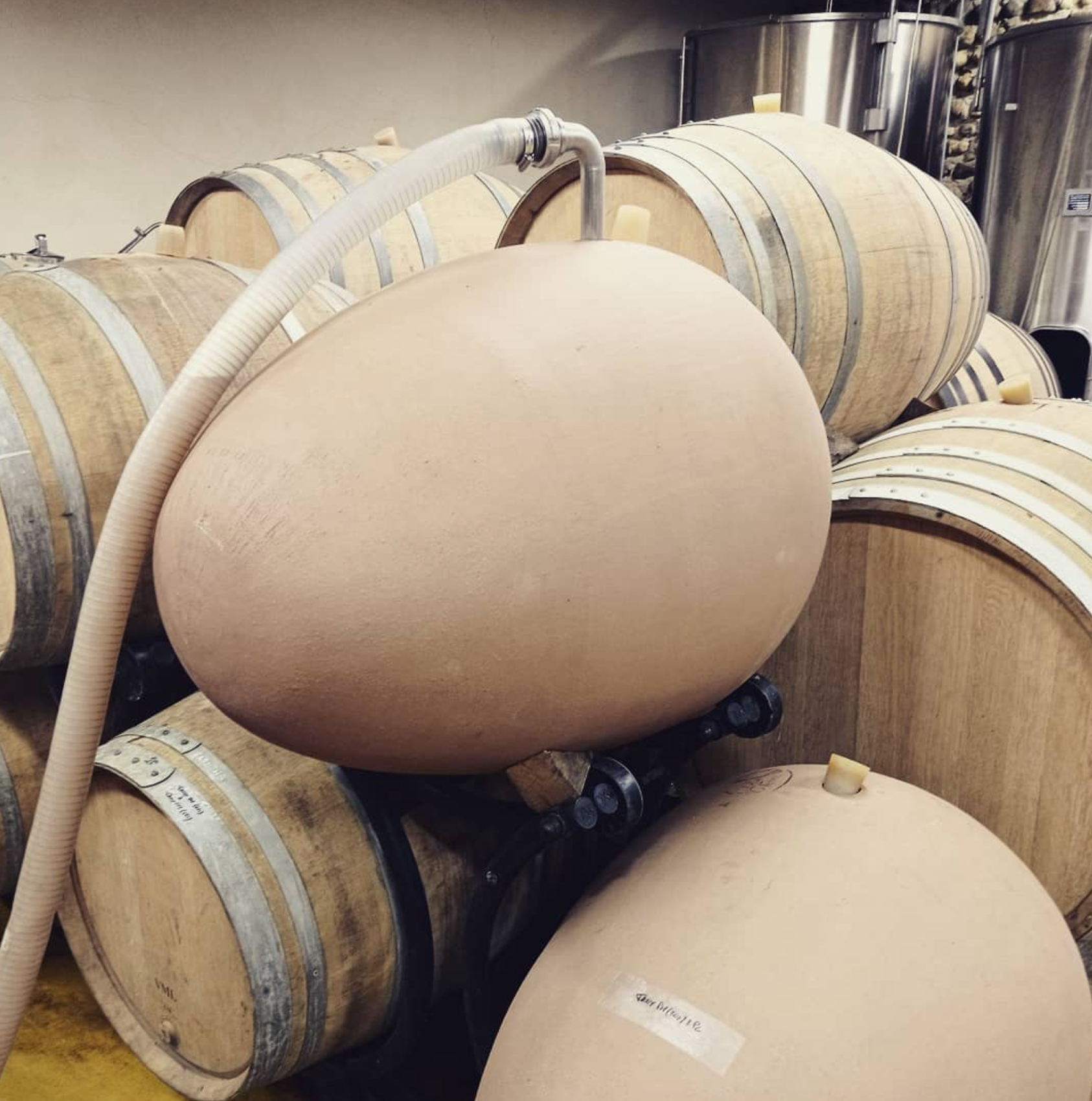 Jurancon Caubeigt 2020 - Domaine Castera - Jurancon, France 75cl