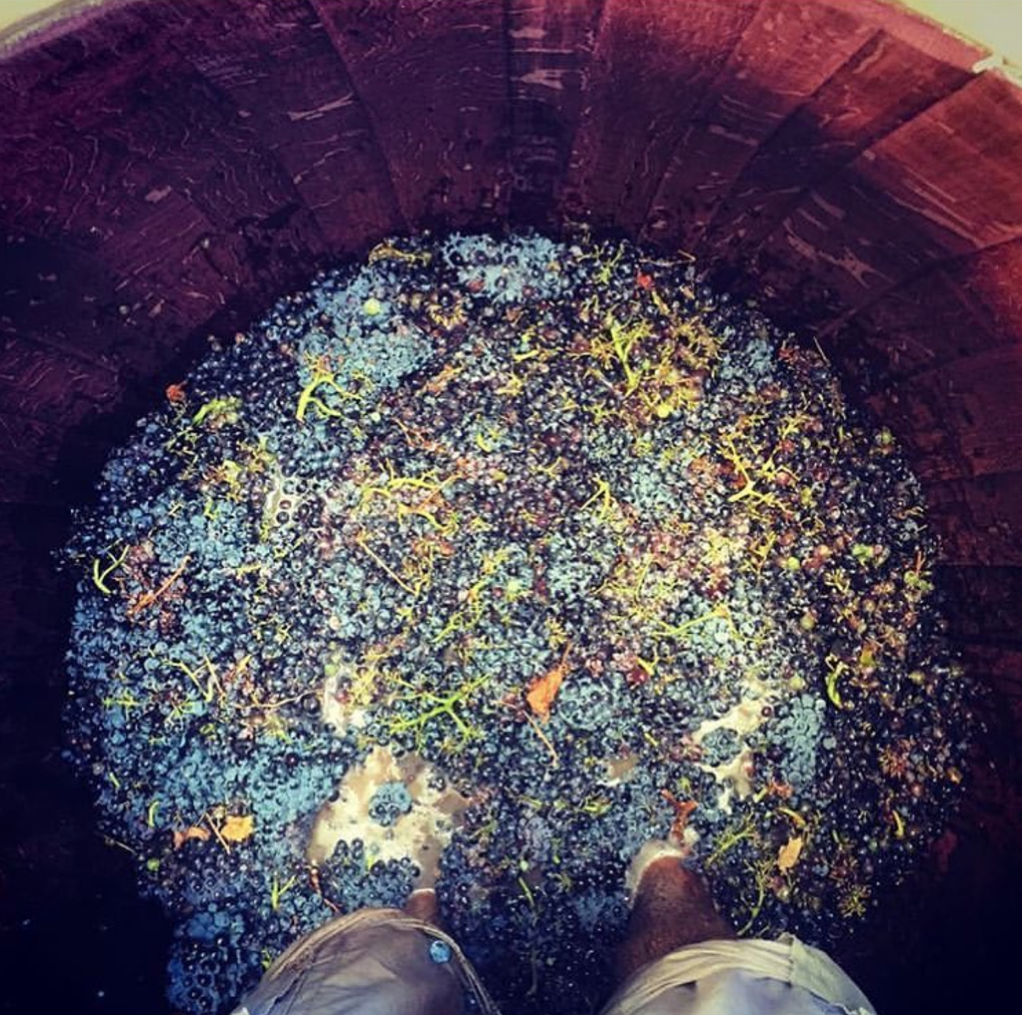 Full Moon White 2019 - Full Moon Wines - Western Cape, South Africa 75cl