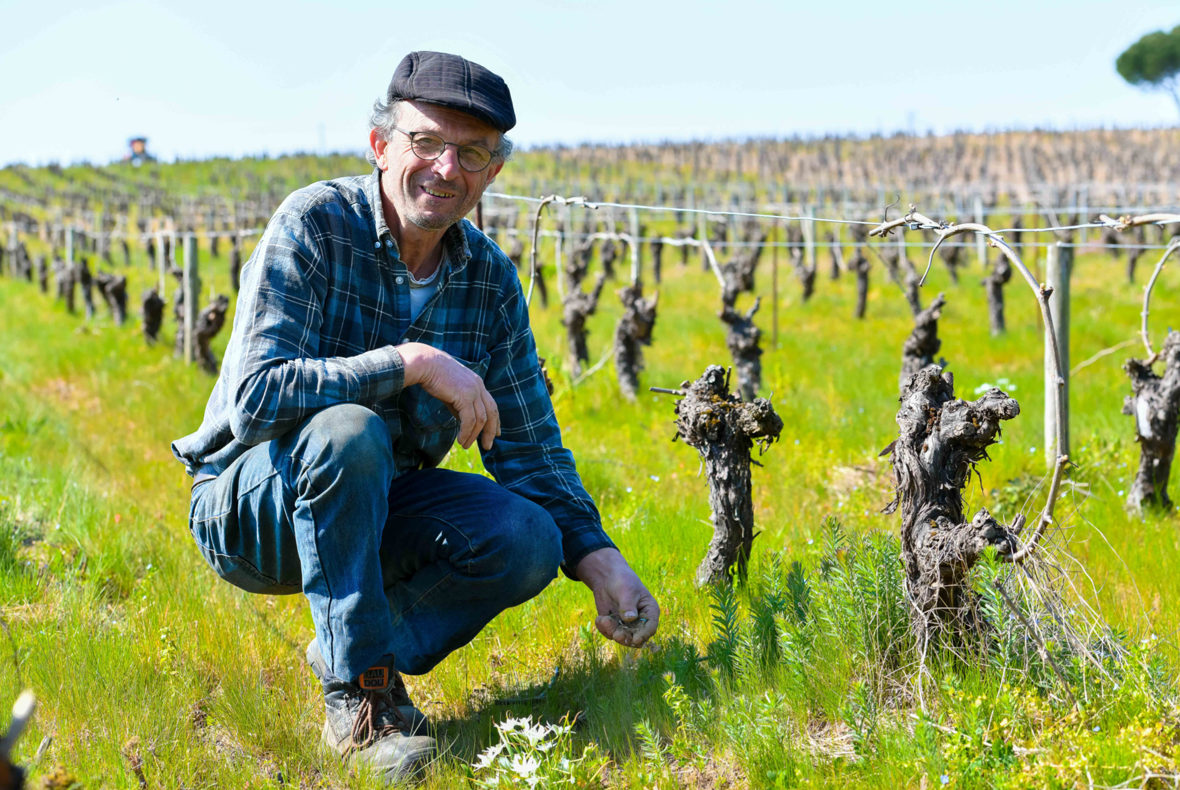 Je T'Aime Mais J'Ai Soif' Muscadet NV