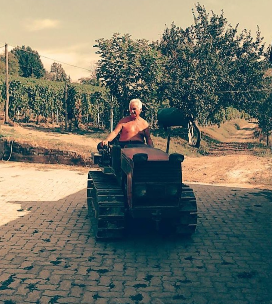 Lamilla 2015