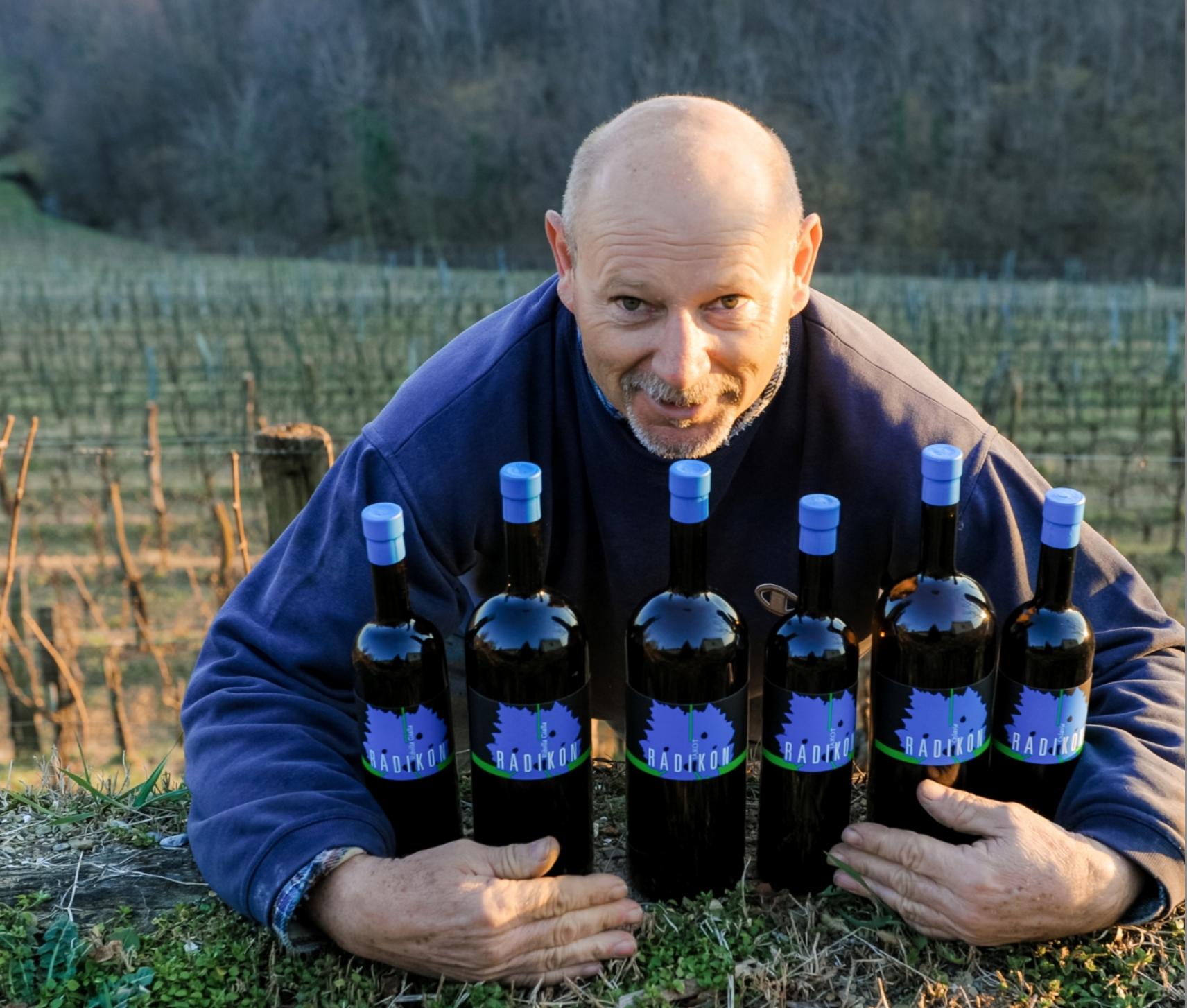 Ribolla Gialla Bianco 2015 - Radikon - Venezia-Giulia, Italy 50cl