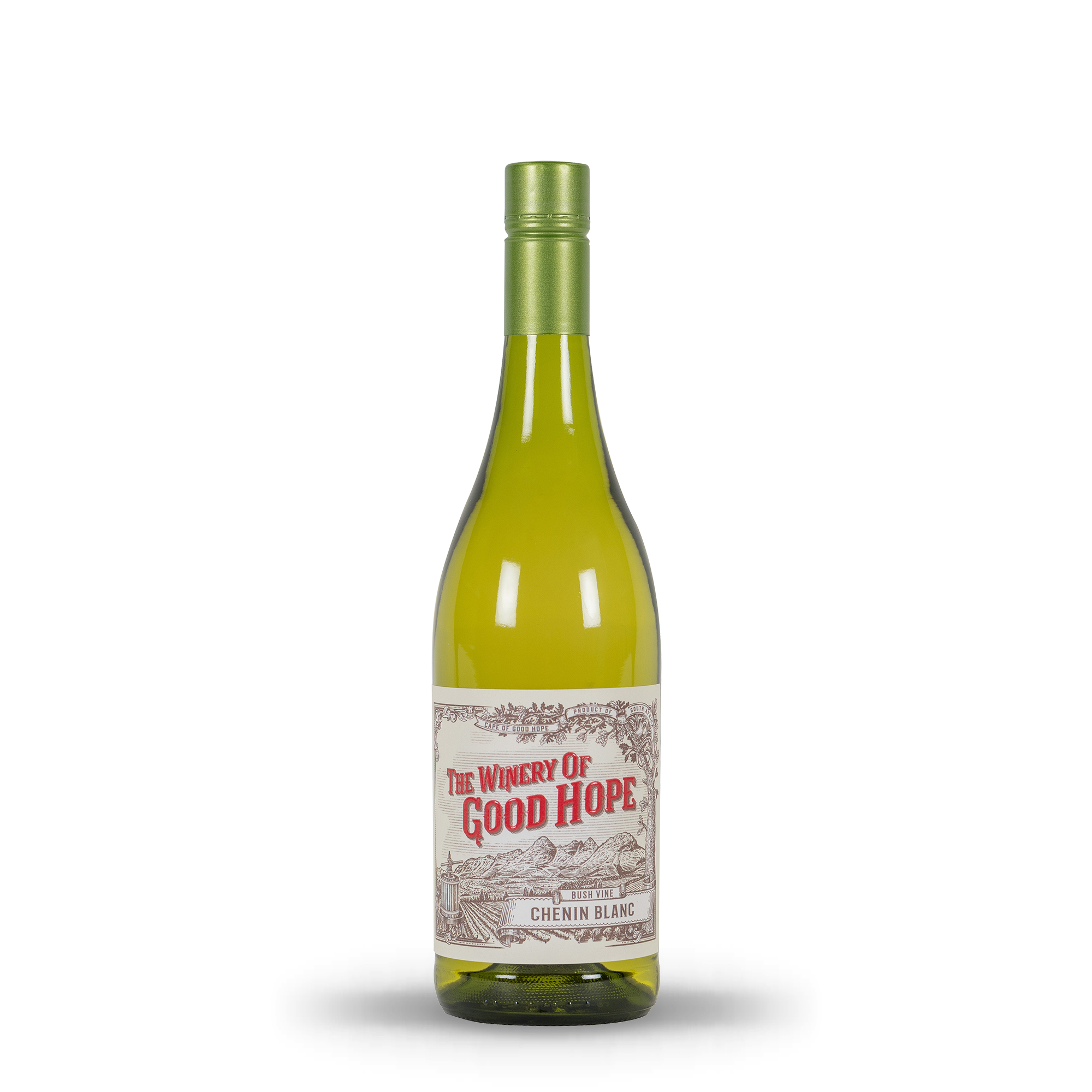 Bush Vine Chenin Blanc 2024