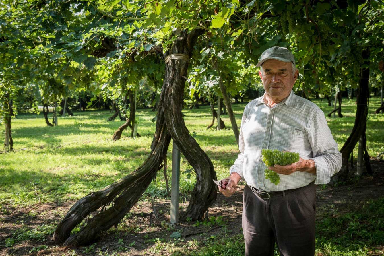 Lemoss Frizzante Non-Filtrato NV