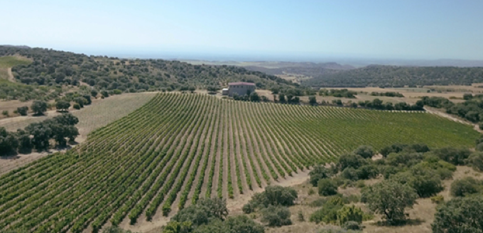 Natural Wine NV - Lagravera - Costers del Segre, Spain 75cl
