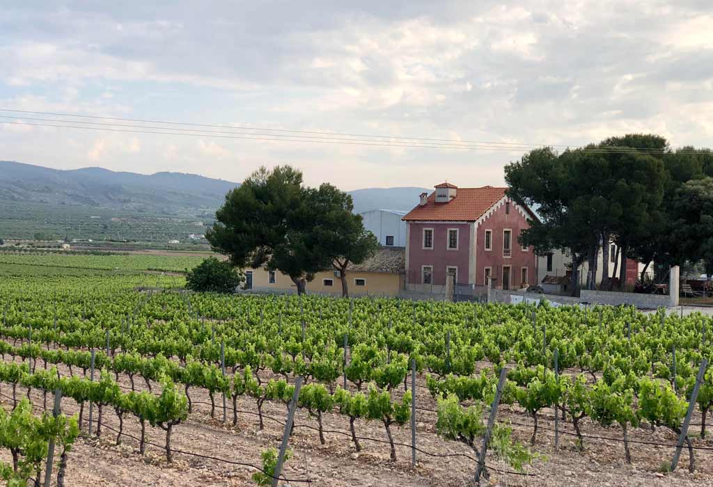 Tragolargo Monastrell 2020