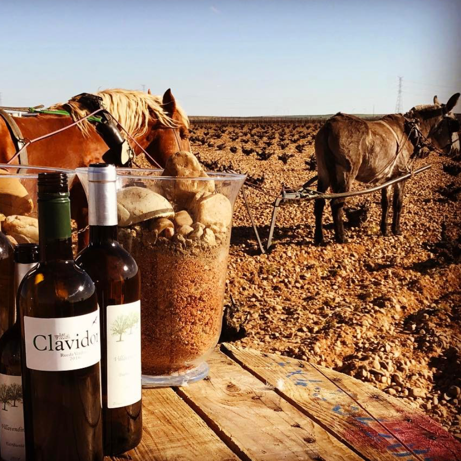El Alto 2011 - Pagos de Vilavendemia - Rueda, Spain 75cl
