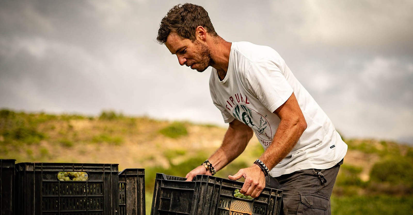 Kedungu Red Blend 2020- Intellego Wines - Swartland, South Africa 75cl