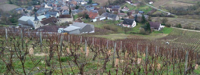 Sancerre L'Authentique 2020