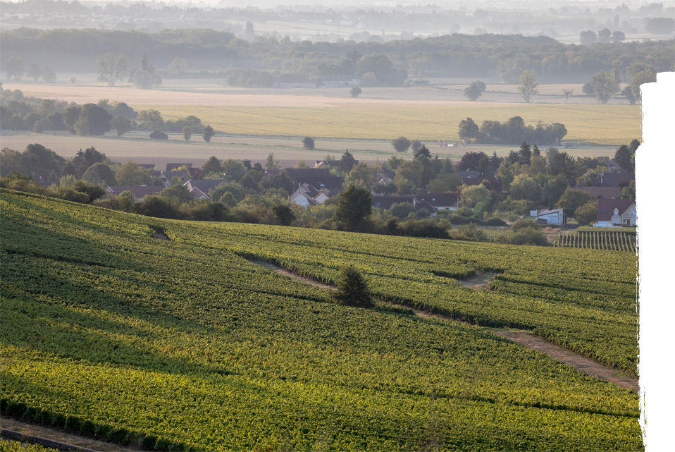 Givry Rouge 2020 - Domaine Deliance - Loire, France 75cl