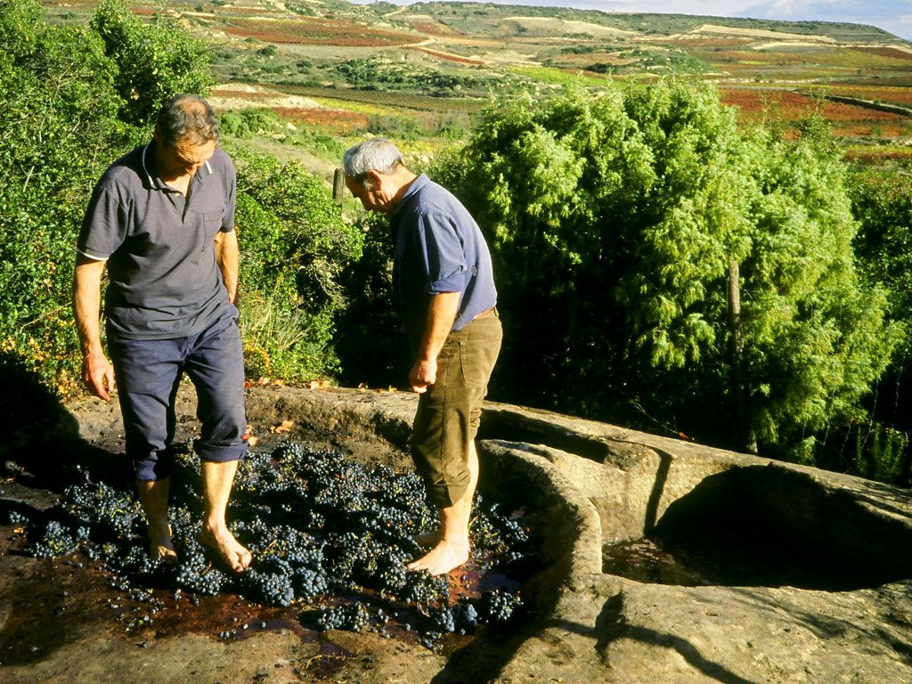 Rioja Joven 2020 - Vina Illusion - Rioja, Spain 75cl