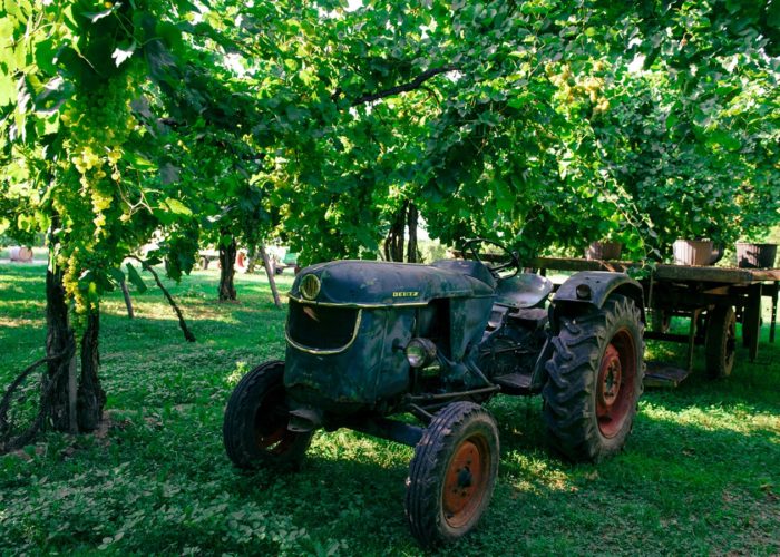 Lemoss Frizzante Non-Filtrato NV